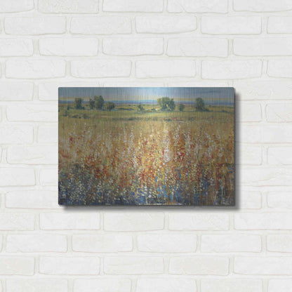 Luxe Metal Art 'Gold and Red Field II' by Tim O'Toole, Metal Wall Art,24x16