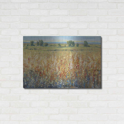 Luxe Metal Art 'Gold and Red Field II' by Tim O'Toole, Metal Wall Art,36x24