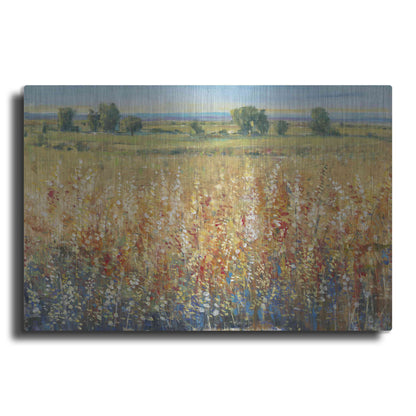 Luxe Metal Art 'Gold and Red Field II' by Tim O'Toole, Metal Wall Art