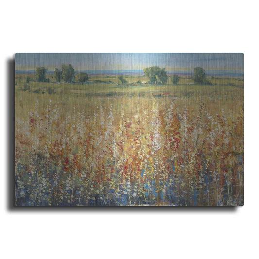 Luxe Metal Art 'Gold and Red Field II' by Tim O'Toole, Metal Wall Art