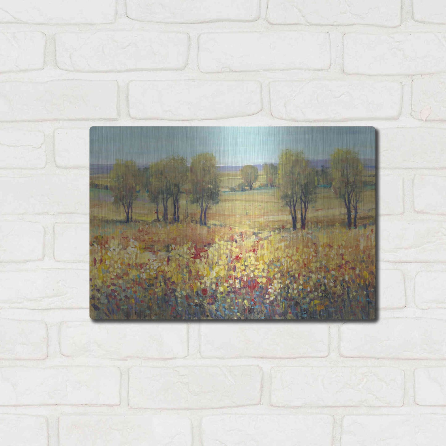 Luxe Metal Art 'Golden Fields I' by Tim O'Toole, Metal Wall Art,16x12