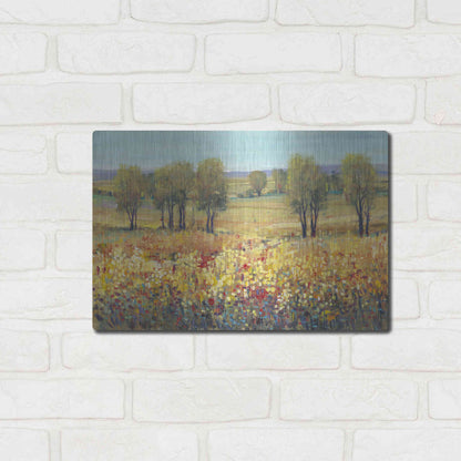 Luxe Metal Art 'Golden Fields I' by Tim O'Toole, Metal Wall Art,16x12