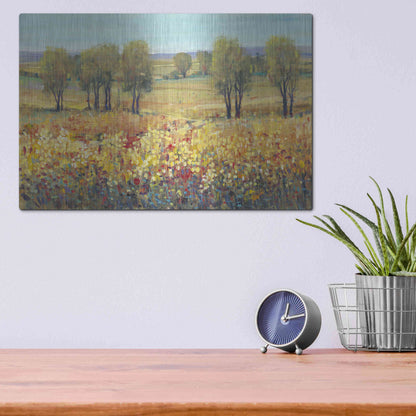 Luxe Metal Art 'Golden Fields I' by Tim O'Toole, Metal Wall Art,16x12