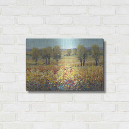 Luxe Metal Art 'Golden Fields I' by Tim O'Toole, Metal Wall Art,24x16