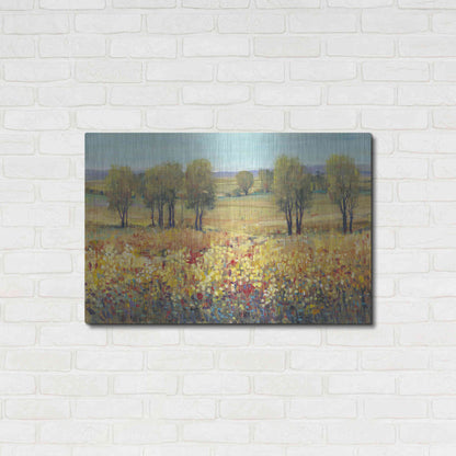 Luxe Metal Art 'Golden Fields I' by Tim O'Toole, Metal Wall Art,36x24