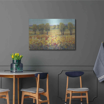 Luxe Metal Art 'Golden Fields I' by Tim O'Toole, Metal Wall Art,36x24