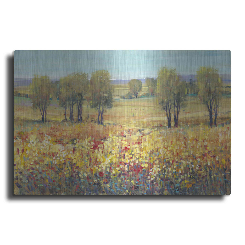 Luxe Metal Art 'Golden Fields I' by Tim O'Toole, Metal Wall Art