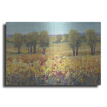 Luxe Metal Art 'Golden Fields I' by Tim O'Toole, Metal Wall Art