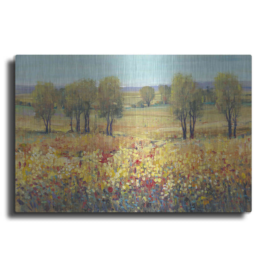 Luxe Metal Art 'Golden Fields I' by Tim O'Toole, Metal Wall Art