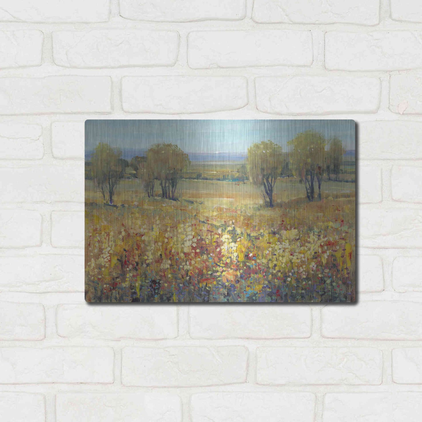 Luxe Metal Art 'Golden Fields II' by Tim O'Toole, Metal Wall Art,16x12