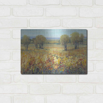 Luxe Metal Art 'Golden Fields II' by Tim O'Toole, Metal Wall Art,16x12