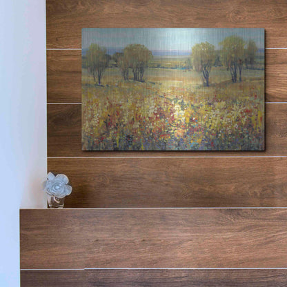 Luxe Metal Art 'Golden Fields II' by Tim O'Toole, Metal Wall Art,16x12
