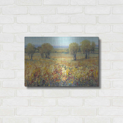 Luxe Metal Art 'Golden Fields II' by Tim O'Toole, Metal Wall Art,24x16