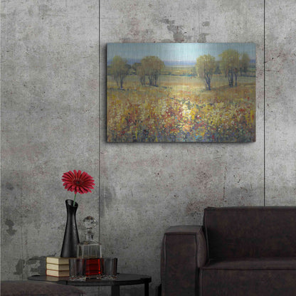 Luxe Metal Art 'Golden Fields II' by Tim O'Toole, Metal Wall Art,36x24