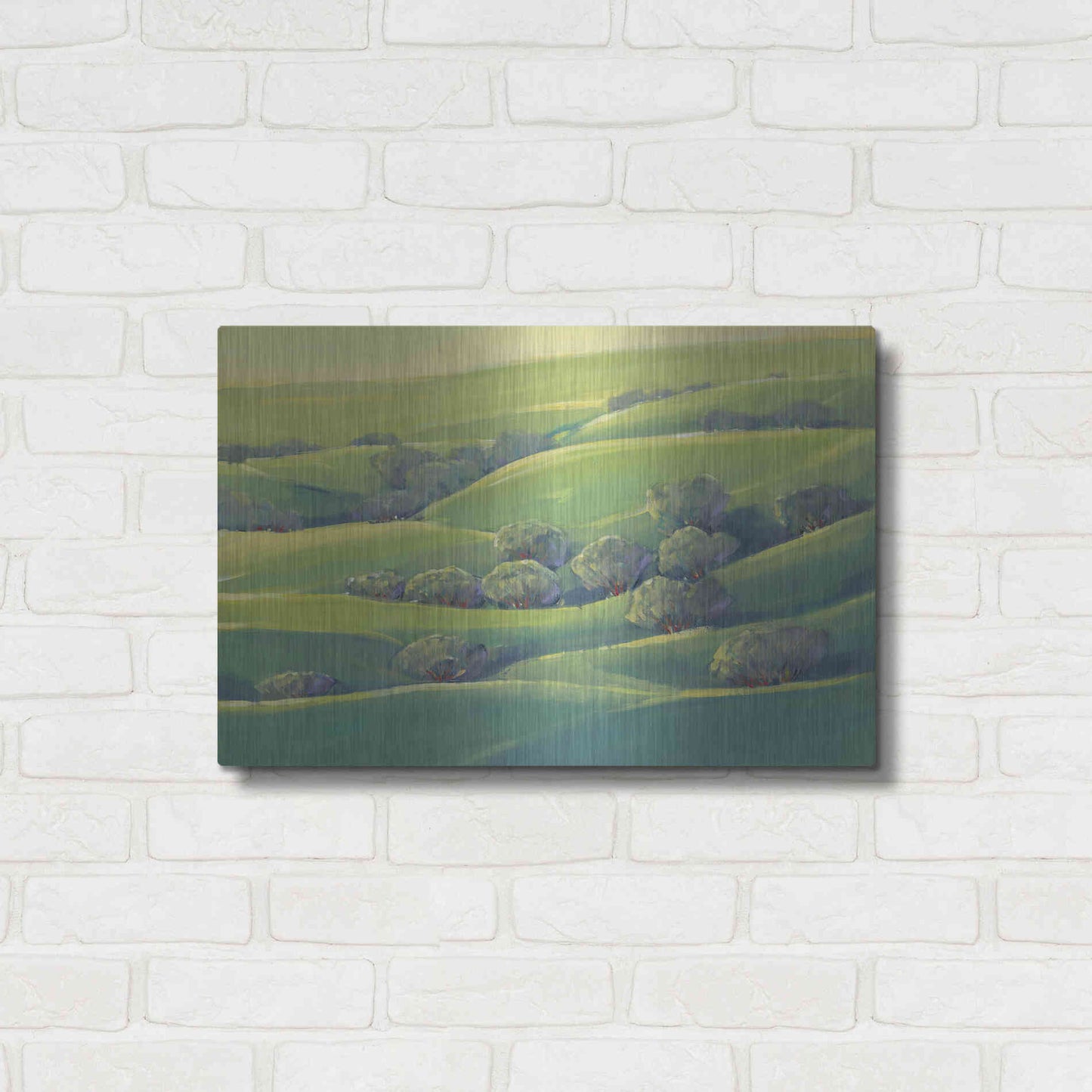 Luxe Metal Art 'Hillside View I' by Tim O'Toole, Metal Wall Art,24x16