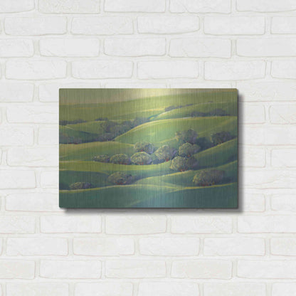 Luxe Metal Art 'Hillside View I' by Tim O'Toole, Metal Wall Art,24x16