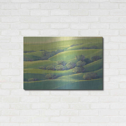 Luxe Metal Art 'Hillside View I' by Tim O'Toole, Metal Wall Art,36x24