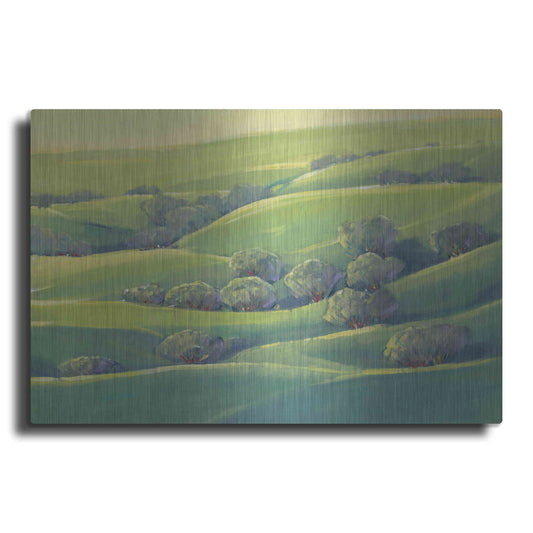 Luxe Metal Art 'Hillside View I' by Tim O'Toole, Metal Wall Art