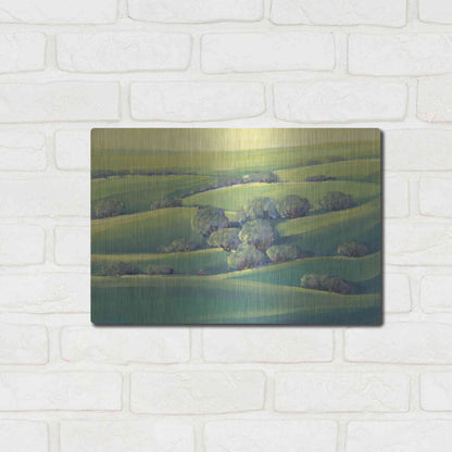 Luxe Metal Art 'Hillside View II' by Tim O'Toole, Metal Wall Art,16x12