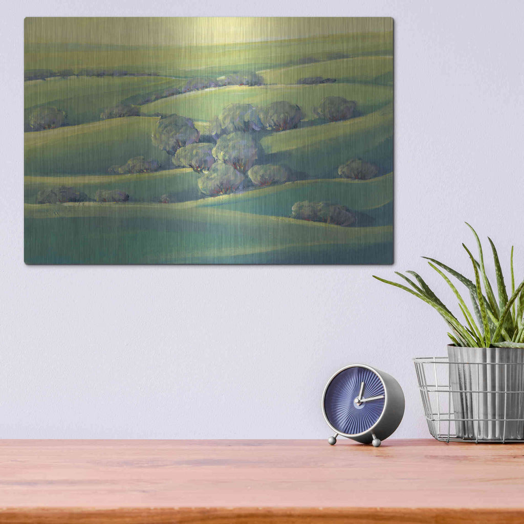Luxe Metal Art 'Hillside View II' by Tim O'Toole, Metal Wall Art,16x12