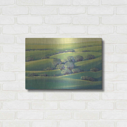 Luxe Metal Art 'Hillside View II' by Tim O'Toole, Metal Wall Art,24x16