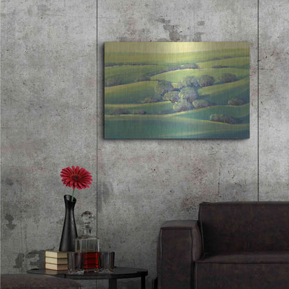 Luxe Metal Art 'Hillside View II' by Tim O'Toole, Metal Wall Art,36x24