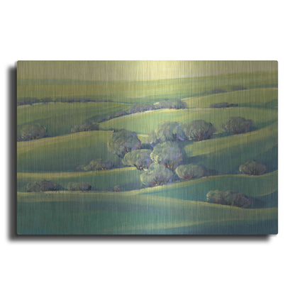 Luxe Metal Art 'Hillside View II' by Tim O'Toole, Metal Wall Art