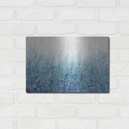 Luxe Metal Art 'Misty Blues I' by Tim O'Toole, Metal Wall Art,16x12