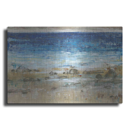 Luxe Metal Art 'Rocky Shoreline I' by Tim O'Toole, Metal Wall Art