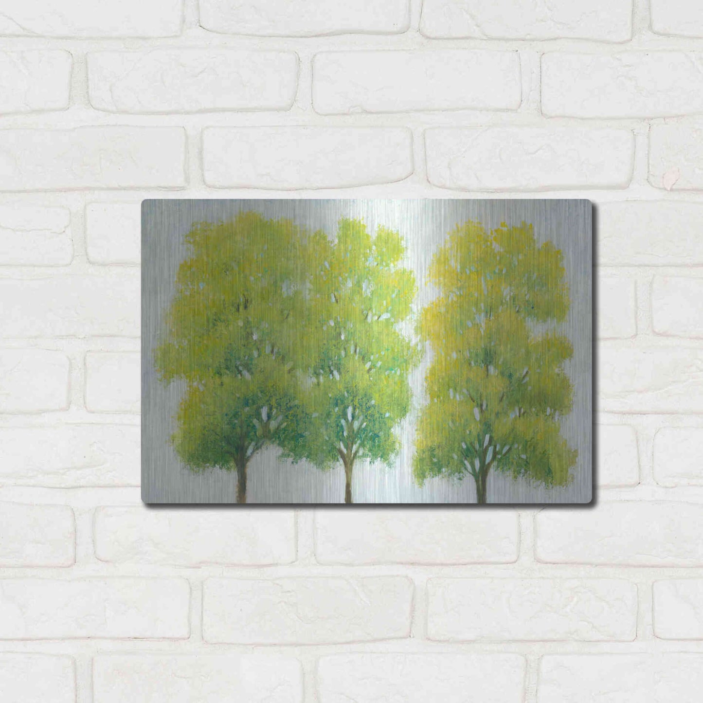 Luxe Metal Art 'Spring Eternal I' by Tim O'Toole, Metal Wall Art,16x12