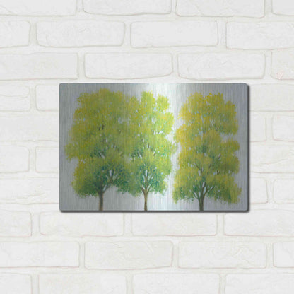 Luxe Metal Art 'Spring Eternal I' by Tim O'Toole, Metal Wall Art,16x12