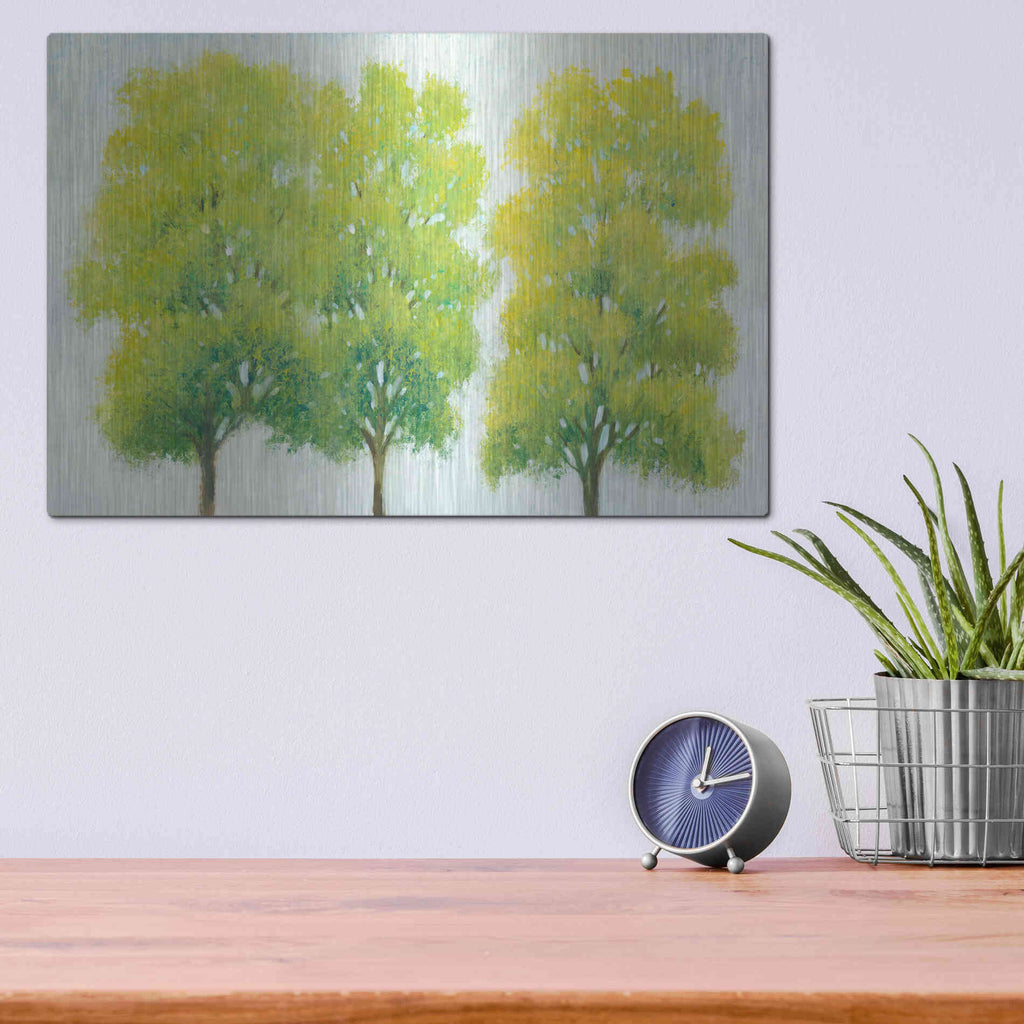 Luxe Metal Art 'Spring Eternal I' by Tim O'Toole, Metal Wall Art,16x12