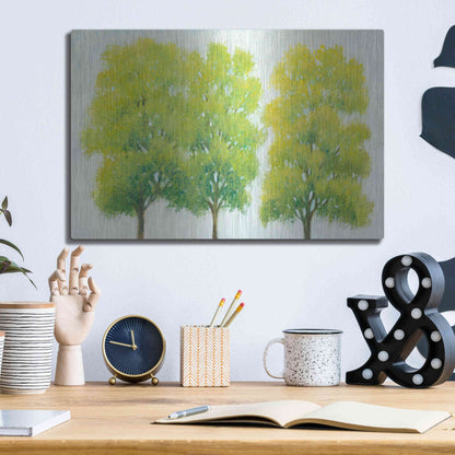 Luxe Metal Art 'Spring Eternal I' by Tim O'Toole, Metal Wall Art,16x12