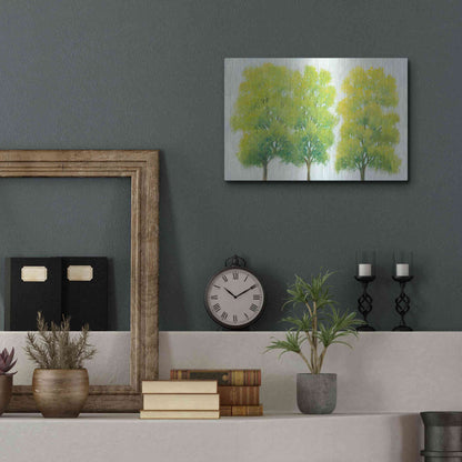 Luxe Metal Art 'Spring Eternal I' by Tim O'Toole, Metal Wall Art,16x12