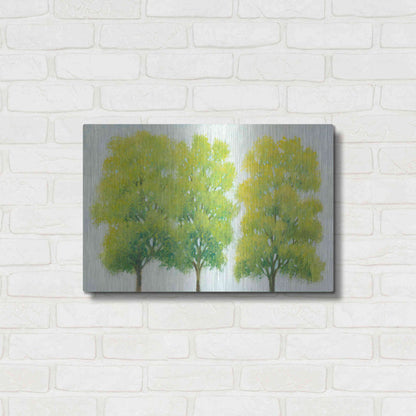 Luxe Metal Art 'Spring Eternal I' by Tim O'Toole, Metal Wall Art,24x16