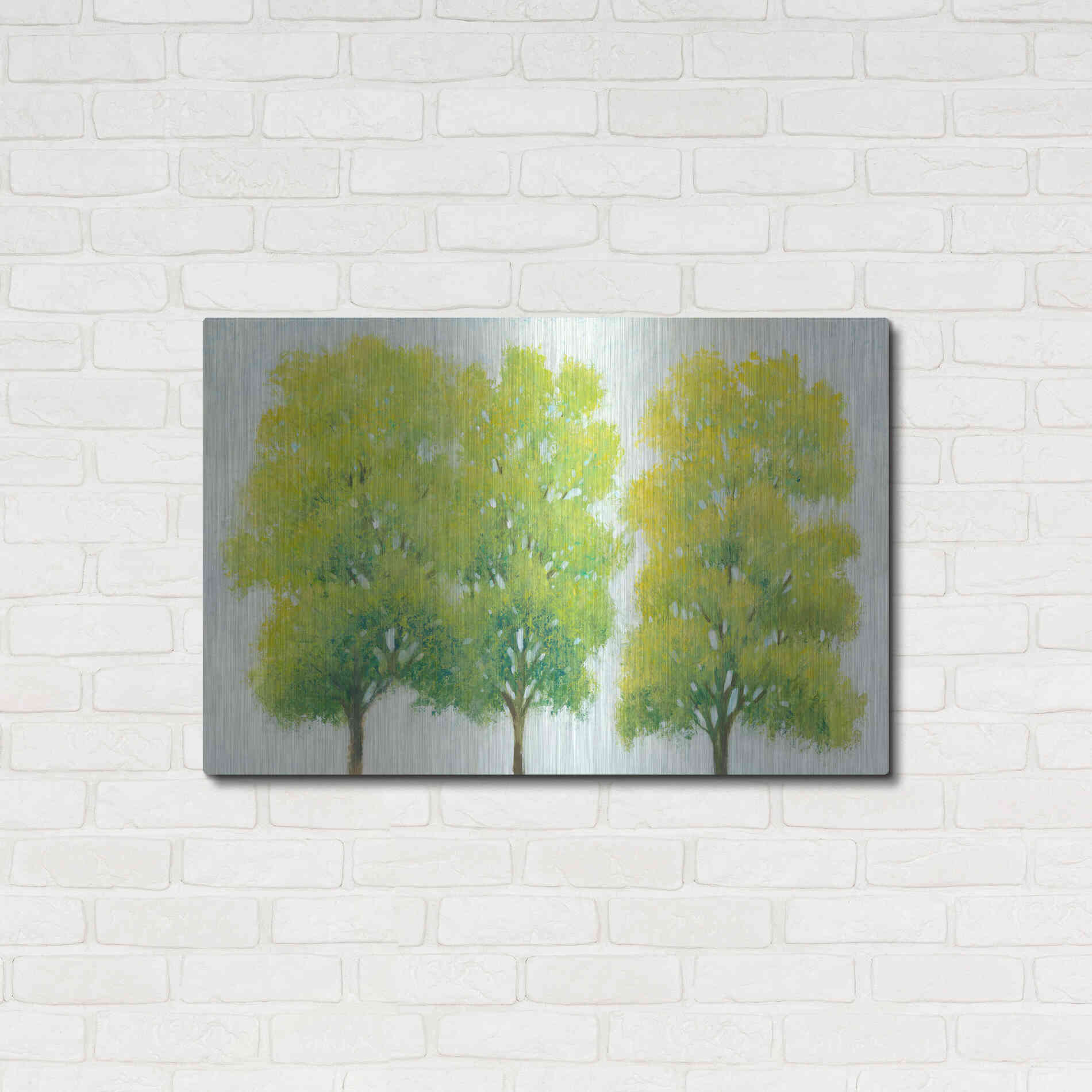 Luxe Metal Art 'Spring Eternal I' by Tim O'Toole, Metal Wall Art,36x24