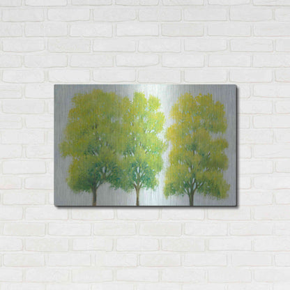 Luxe Metal Art 'Spring Eternal I' by Tim O'Toole, Metal Wall Art,36x24