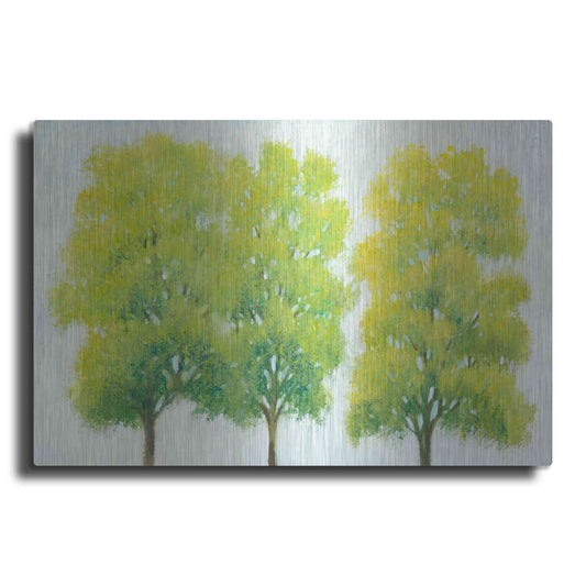 Luxe Metal Art 'Spring Eternal I' by Tim O'Toole, Metal Wall Art