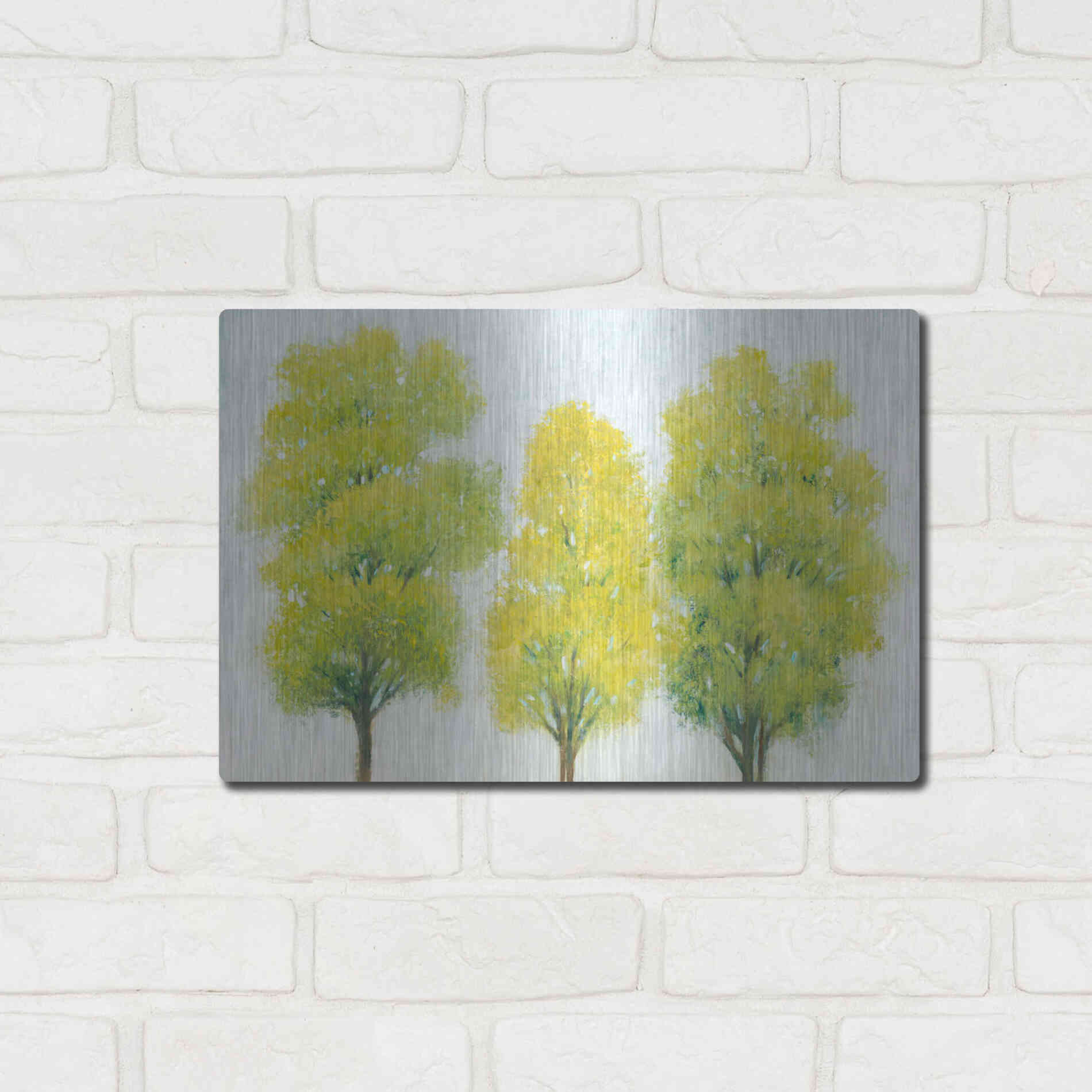 Luxe Metal Art 'Spring Eternal II' by Tim O'Toole, Metal Wall Art,16x12