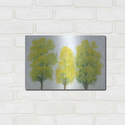 Luxe Metal Art 'Spring Eternal II' by Tim O'Toole, Metal Wall Art,16x12