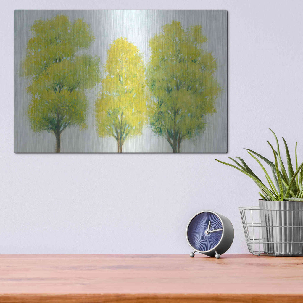 Luxe Metal Art 'Spring Eternal II' by Tim O'Toole, Metal Wall Art,16x12