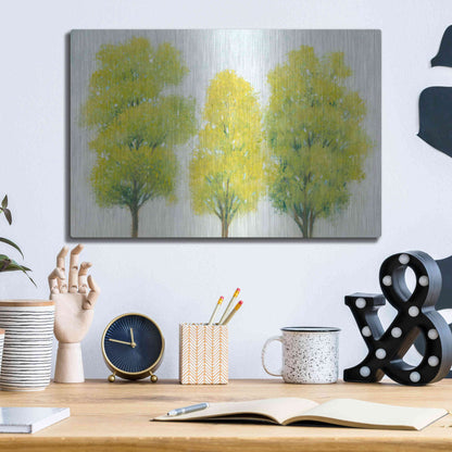 Luxe Metal Art 'Spring Eternal II' by Tim O'Toole, Metal Wall Art,16x12