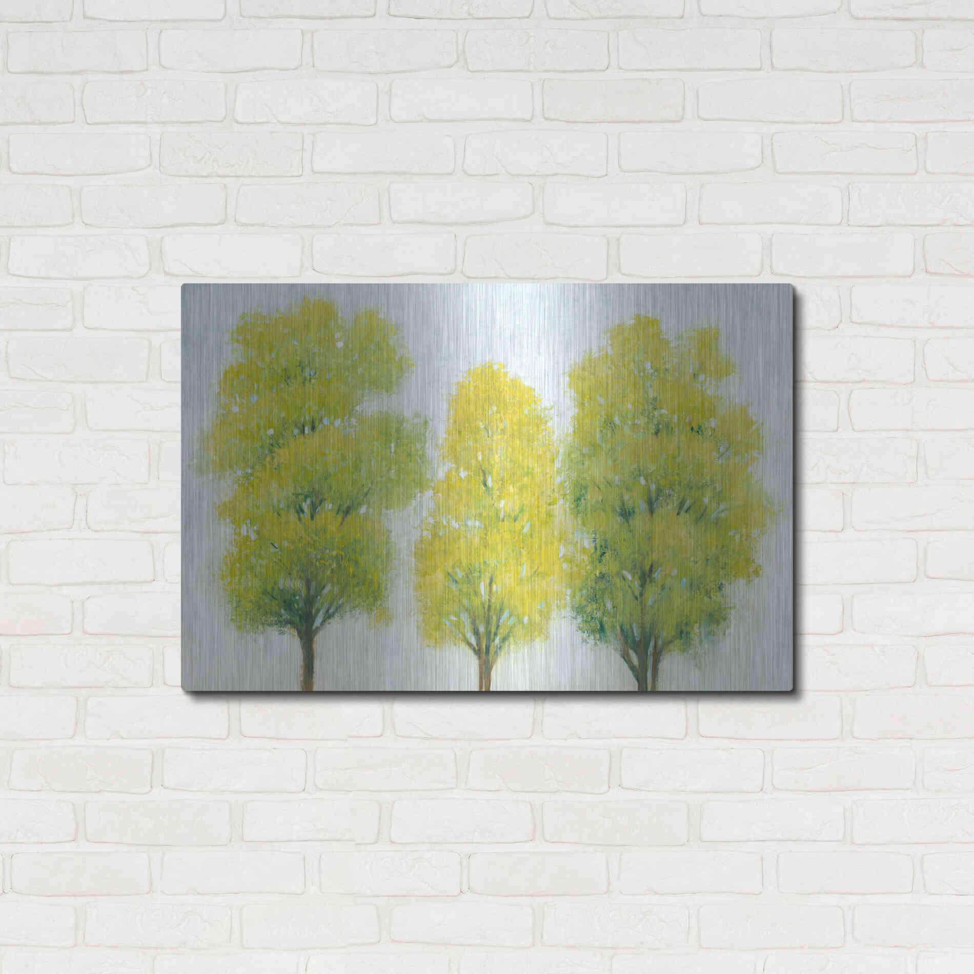 Luxe Metal Art 'Spring Eternal II' by Tim O'Toole, Metal Wall Art,36x24