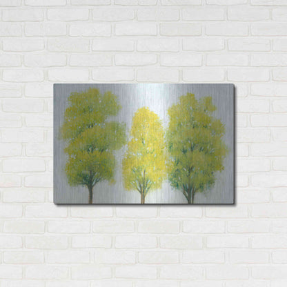 Luxe Metal Art 'Spring Eternal II' by Tim O'Toole, Metal Wall Art,36x24