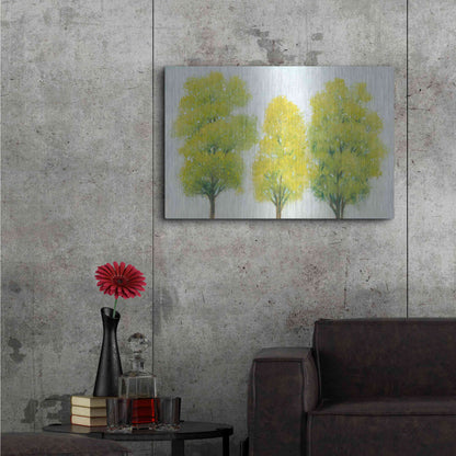 Luxe Metal Art 'Spring Eternal II' by Tim O'Toole, Metal Wall Art,36x24