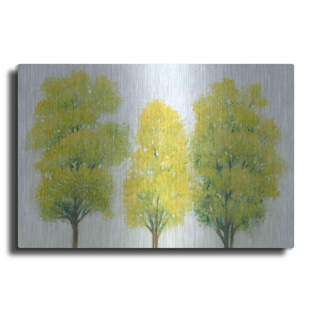 Luxe Metal Art 'Spring Eternal II' by Tim O'Toole, Metal Wall Art