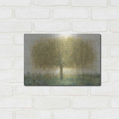 Luxe Metal Art 'Summer Day Tree I' by Tim O'Toole, Metal Wall Art,16x12