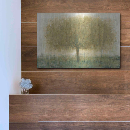 Luxe Metal Art 'Summer Day Tree I' by Tim O'Toole, Metal Wall Art,16x12