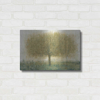 Luxe Metal Art 'Summer Day Tree I' by Tim O'Toole, Metal Wall Art,24x16