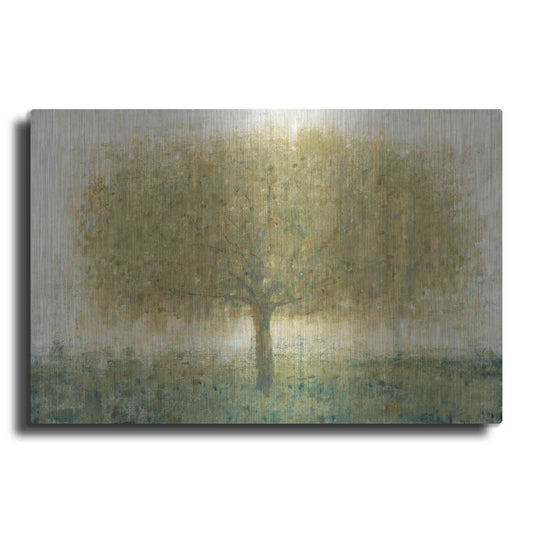 Luxe Metal Art 'Summer Day Tree I' by Tim O'Toole, Metal Wall Art